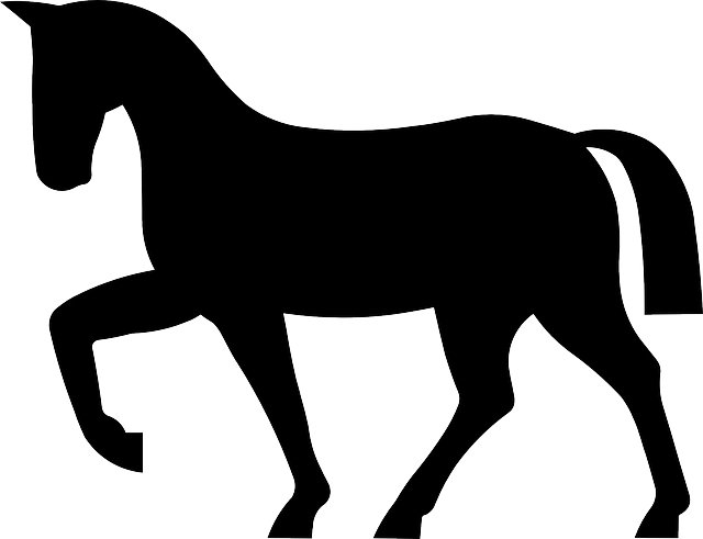 Mammal Horse, Riding, Animal, Mammal - Horse Icon (640x491)
