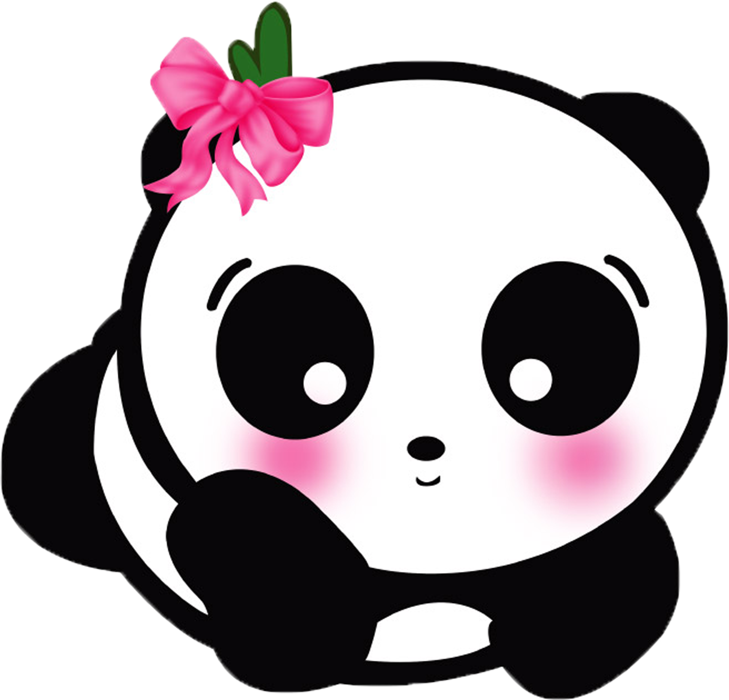 Cute Panda