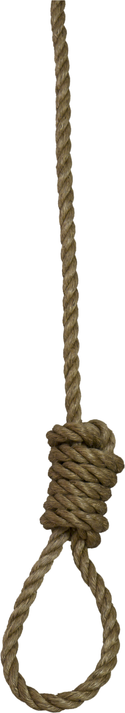 Rope Loop Png - Rope Png (900x2582)