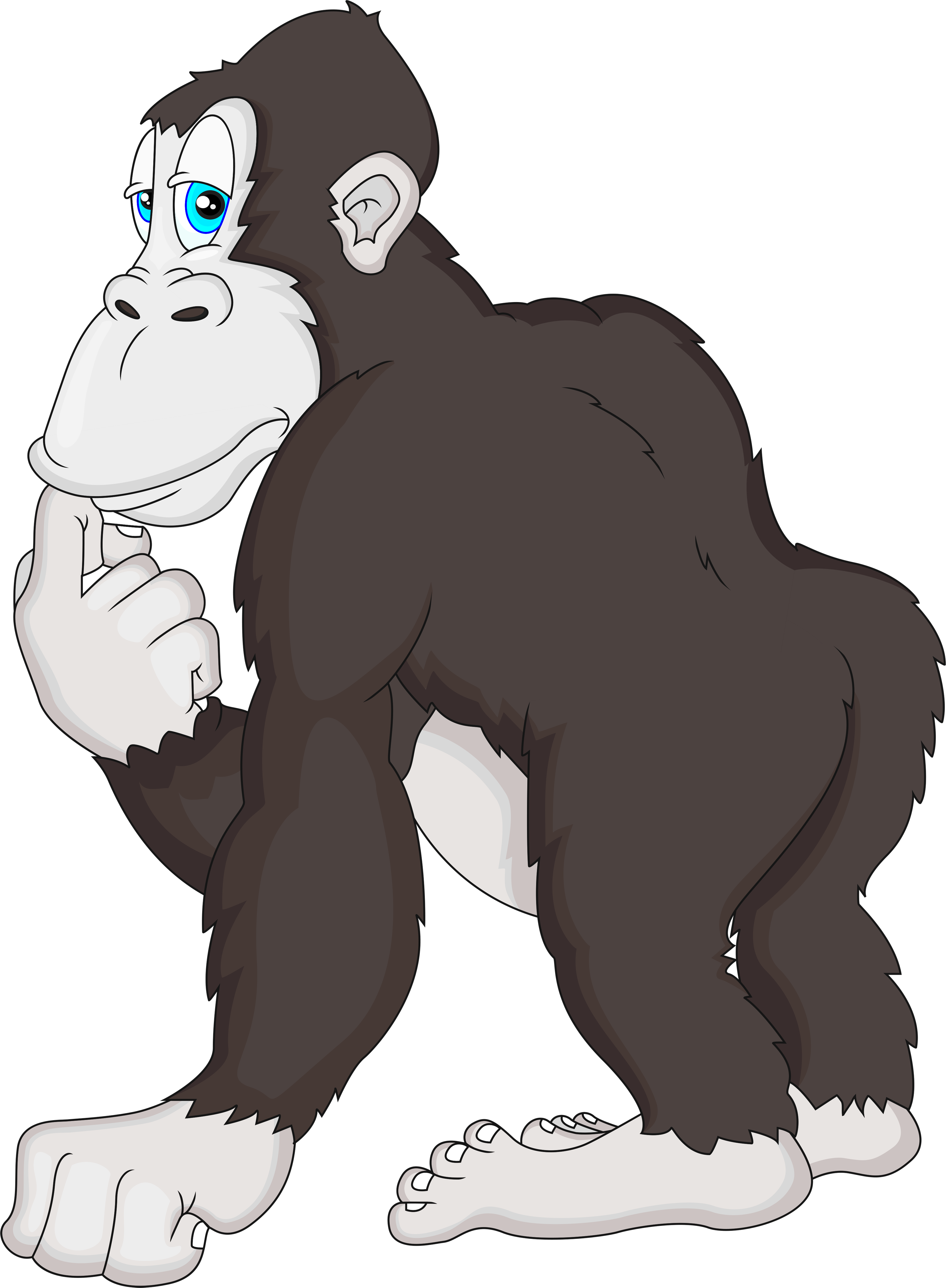 Escolares, Animales De Selva, Animales Salvajes, Monos - صورة غوريلا رسم (2910x3961)