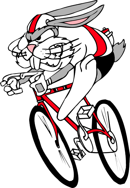Png Or Cdr For Coreldraw X5 - Andar En Bicicleta Gif (442x640)
