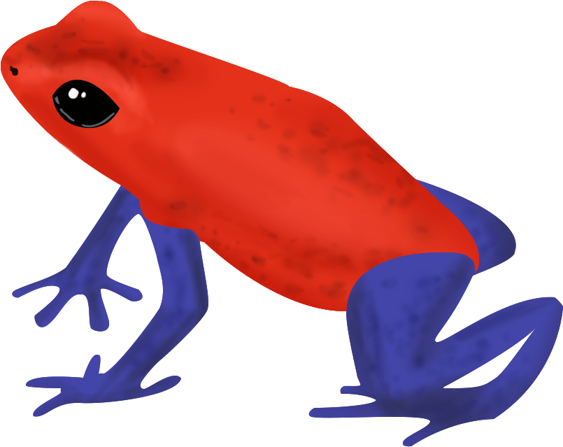 Grasshopper Frog-real Snake - Golden Poison Frog (1280x752)