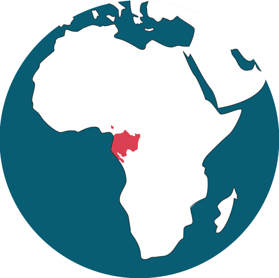 Western Lowland Gorillas Are Threatened By Two Primary - Western Lowland Gorillas Located (575x574)