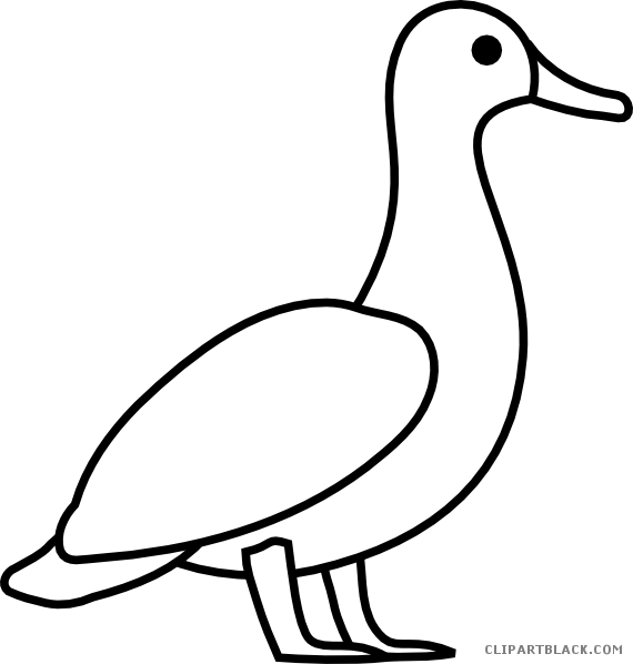 Duck Outline Animal Free Black White Clipart Images - Line Art (570x598)