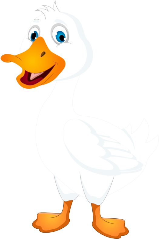 Pictures Of Duck Clipart Outline - White Duck Cartoon (535x800)