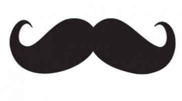 Mustache, Mustache, Mustach, Mustaches Png And Psd - Hipster Photo Booth Props (360x360)