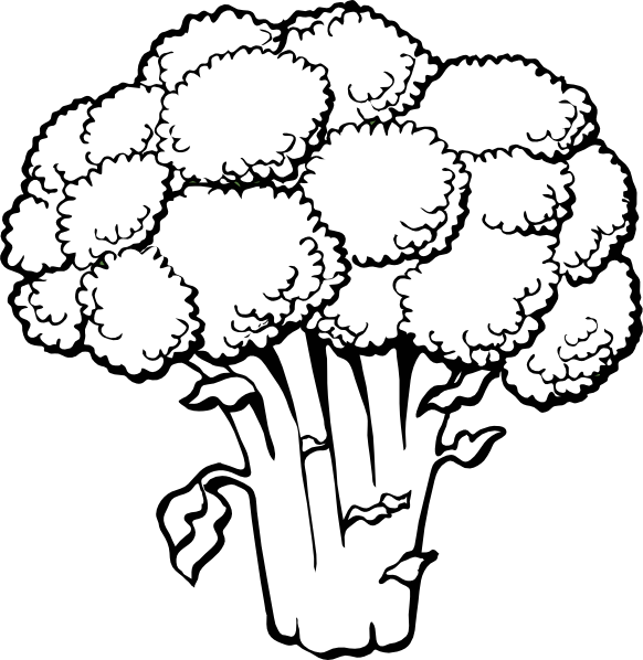 Popeye Clipart - Lettuce Clipart Black And White (582x598)