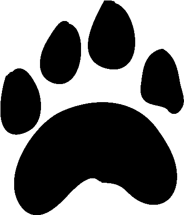 Forest Clipart - Tiger Paw Png (400x457)