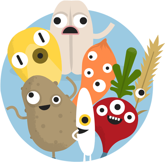 Grains And Starchy Vegetables - Bamboo Textile (538x526)