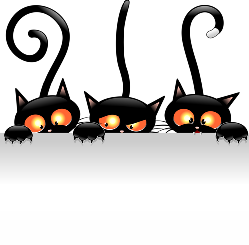 0 C906c 2383c494 Orig - Funny Black Cat Png (500x493)
