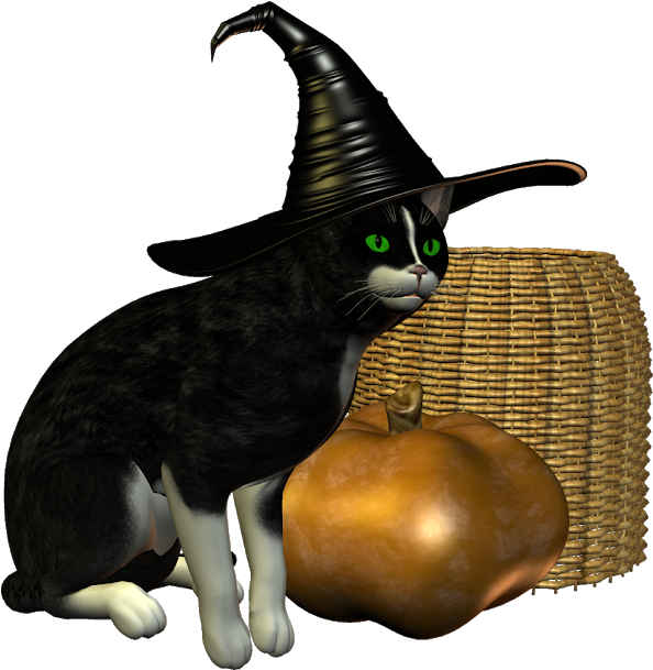 Halloween Cats - Black Cat (640x631)