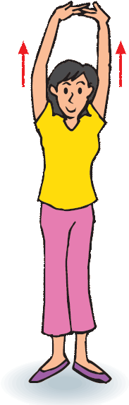 Fitness Exercise For Women - Human Back (244x585)