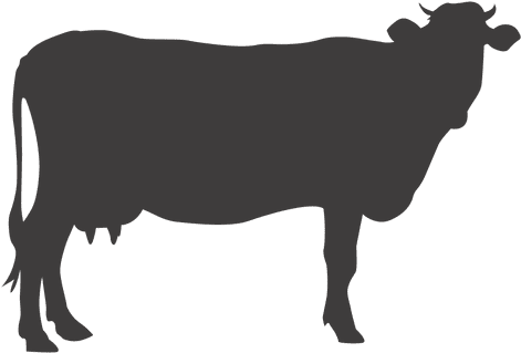 Cow Standing Silhouette Transparent Png - Beef Cow Silhouette (512x512)