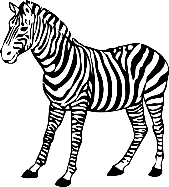 Zebra Clip Art - Zebra Black And White (540x597)