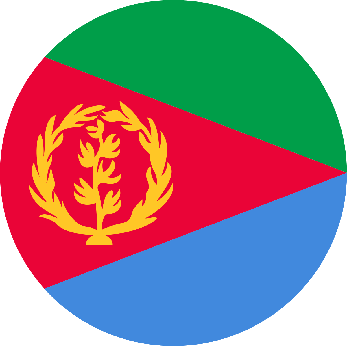 Eritrean Air Force Roundel - Eritrea Air Force Roundel (1200x1198)
