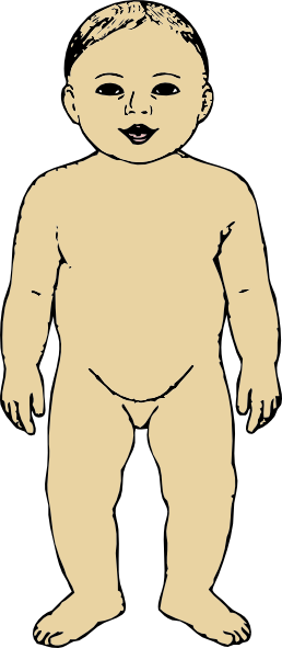 Clip Art Baby Body (258x591)