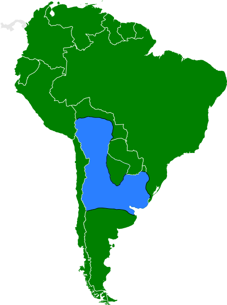 Berkut - South America Map Blue (454x608)