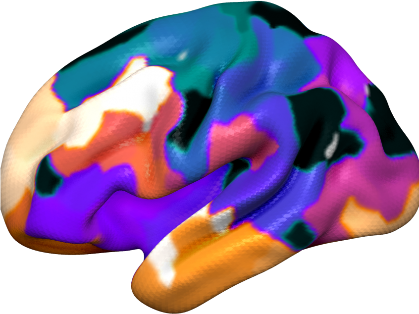 Miccai 2012 Multi-atlas Labeling Workshop And Challenge - Bicycle Helmet (845x684)