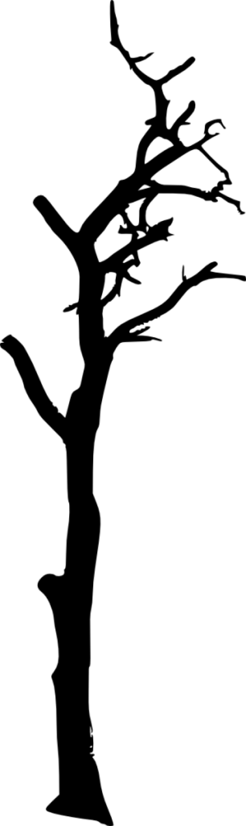 Free Png Dead Tree Silhouette Png Images Transparent - Portable Network Graphics (480x1607)