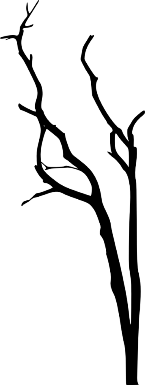 Free Png Dead Tree Silhouette Png Images Transparent - Portable Network Graphics (480x1267)
