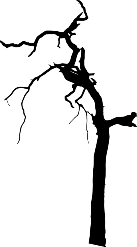 Free Png Dead Tree Silhouette Png Images Transparent - Portable Network Graphics (480x867)