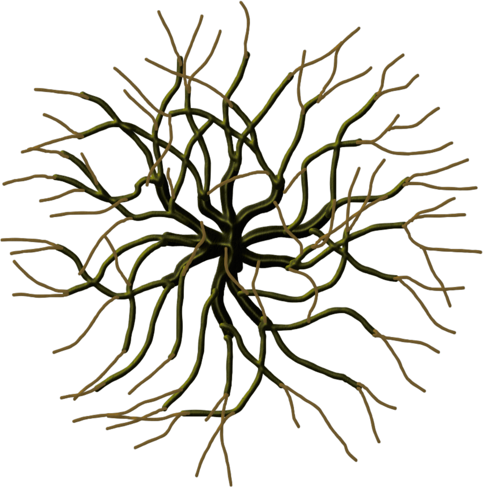 Profantasy Community Forum - Internet Forum (1000x1000)