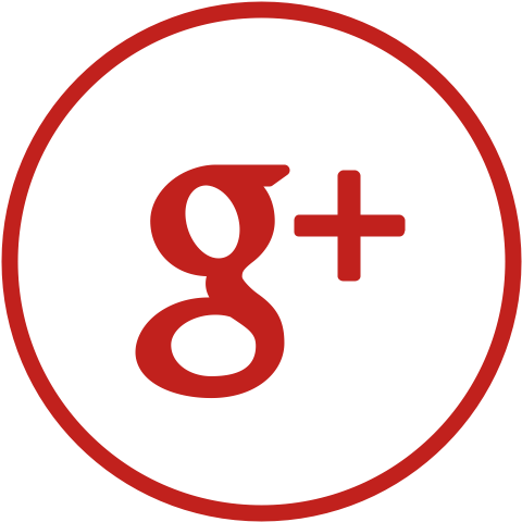 Facebook Google Linkedin - Google+ (512x512)