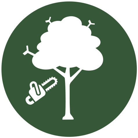 Dead Wooding - Portrait Of A Man (500x500)