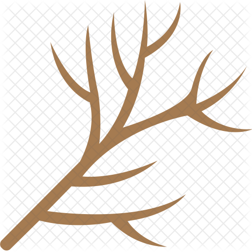 Dry Twig Icon - Icon (512x512)