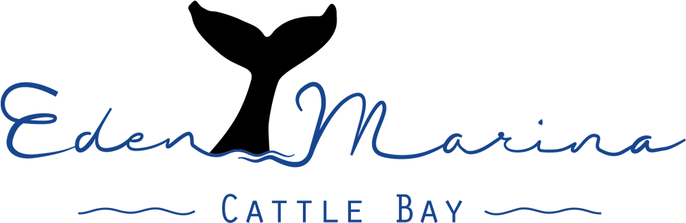 Connexionpr Logo - Connexion Pr (1000x341)