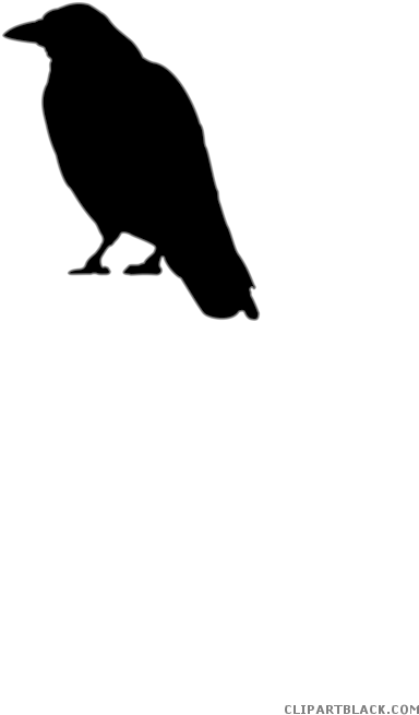 Crow Animal Free Black White Clipart Images Clipartblack - Halloween Crow Cut Out (495x700)