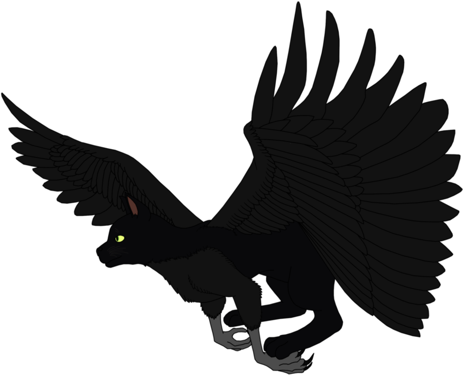 Cat Crow By Hollybecker - Andean Condor (971x823)