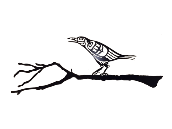 First Nations Crow Branch - First Nations Raven (560x420)