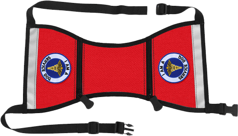 Ready To Wear Service Dog Starter Kit - Service Dog (550x550)