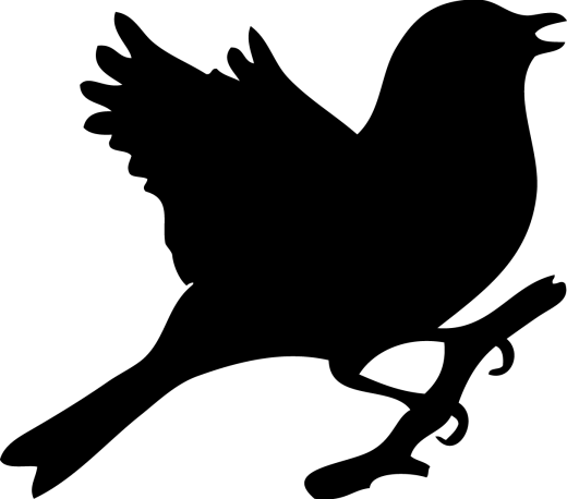Sparv-black - Chicken (520x458)