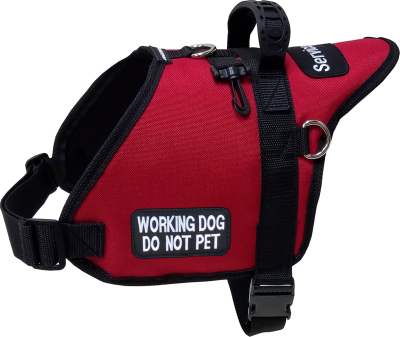 Com Padded Harness Service Dog - Service Dog Vest (400x337)