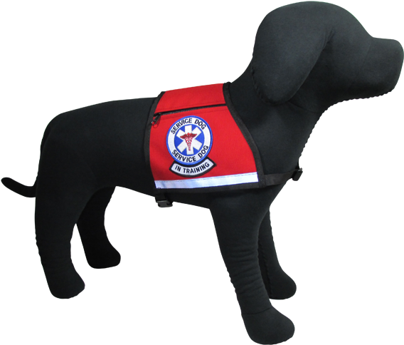Service Dog, In Training Reflective Vest - Service Dog In Training Vest (600x501)