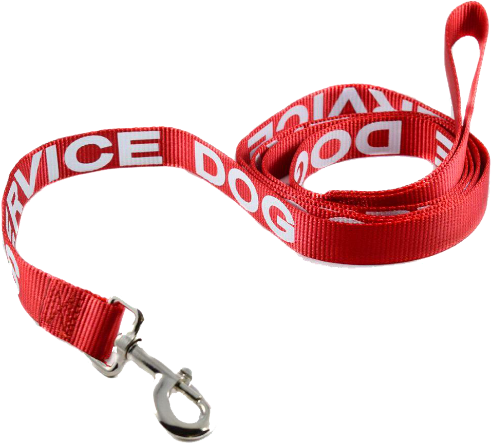 Service Dog Leash - Service Dog (1010x1010)