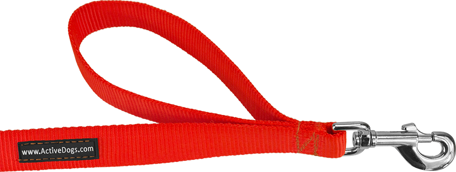 Service Dog Leash Law - 2 Handle Dog Leash (900x341)