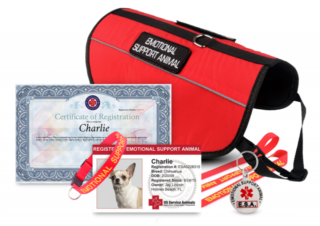 Dog - Products - Service Animal (640x453)