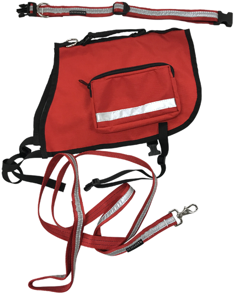 K9 Adventure Set - Collar (500x634)