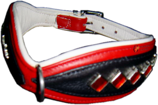 Service Provider Of Shaped Soft Dog Collar With Ornaments - Kanpur (537x360)
