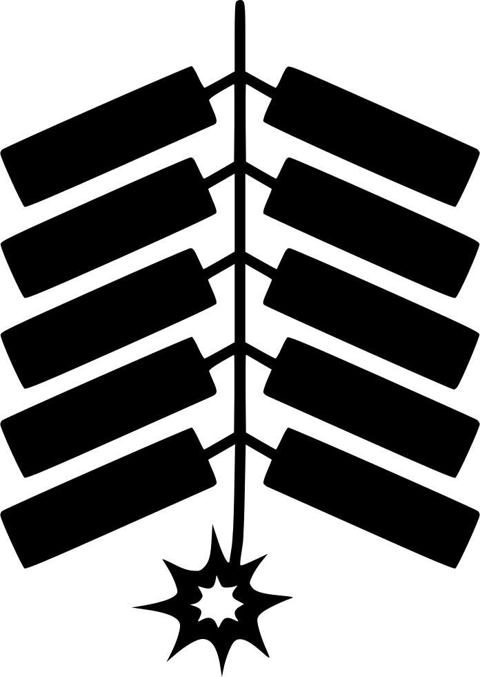 Firecrackers Comments - No Firecrackers (696x980)