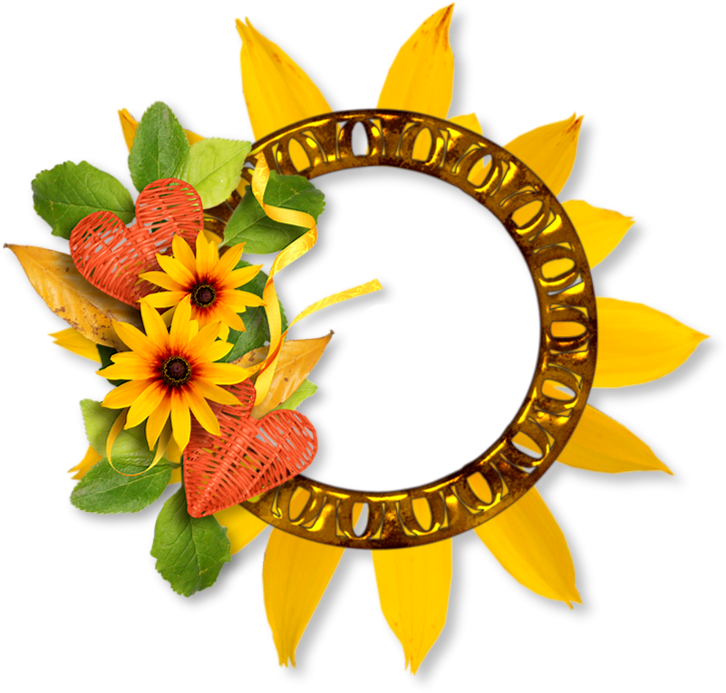 Обсуждение На Liveinternet - Sunflower (800x800)