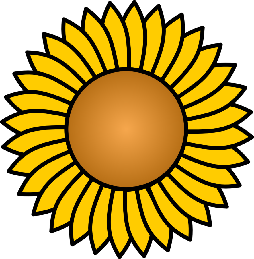 Sunflower Vector - Printable Mandala Coloring Pages (886x902)