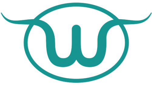 Stillwest W Circle Teal V2 - Teal (500x300)