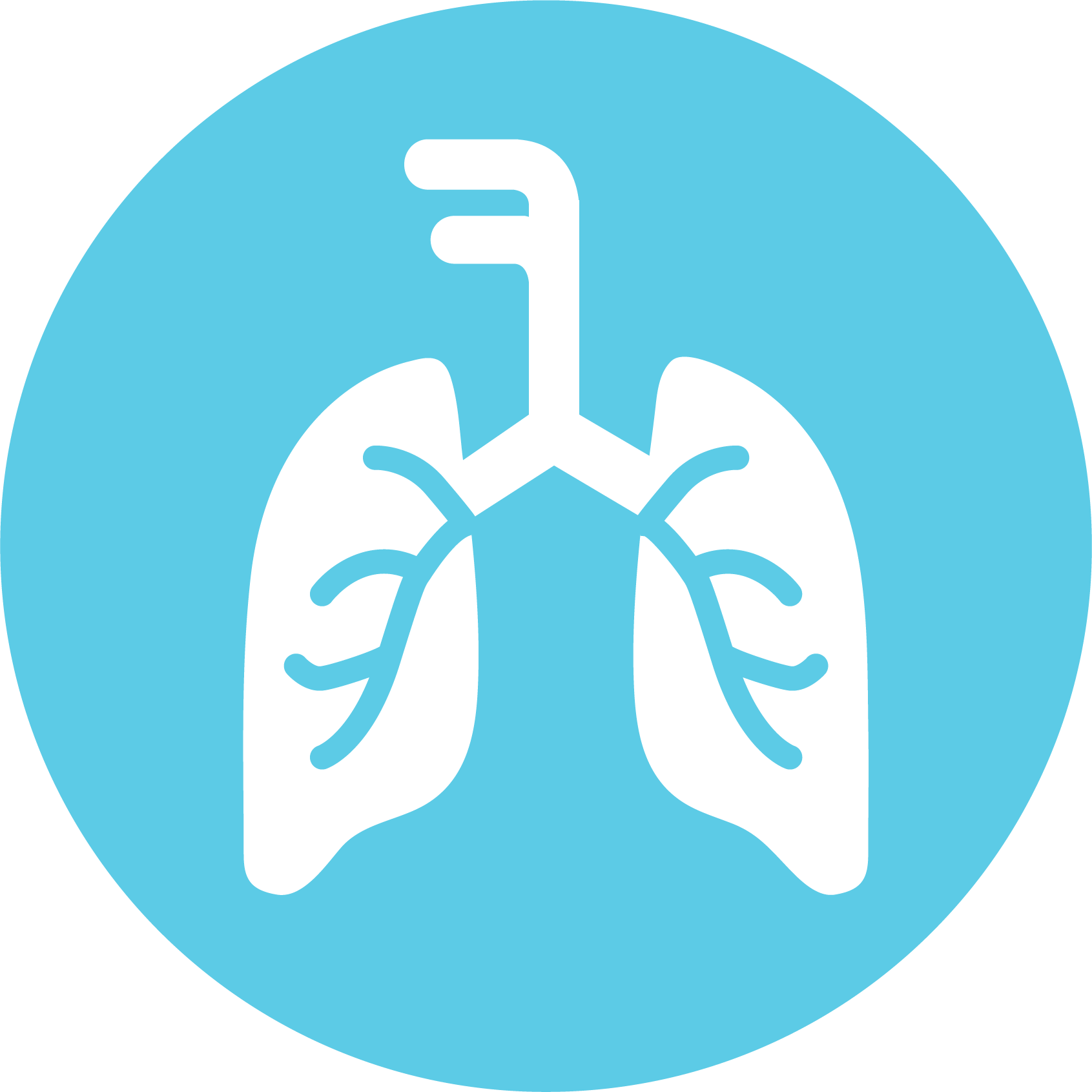 Foundation For Jewish Camp Checklist Computer Icons - New York Times App Icon (1691x1691)