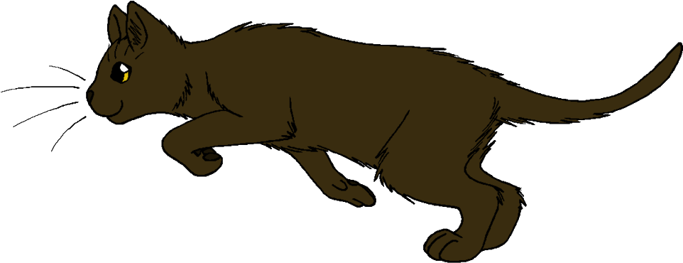 Oakstar - Warrior Cats Running Hollyleaf (1024x406)