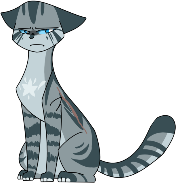 14 - - Jay Bae (894x894)