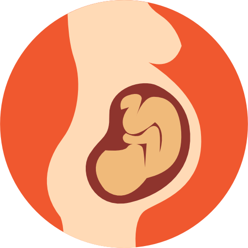 Pregnancy Free Icon - Pregnancy Icon (512x512)
